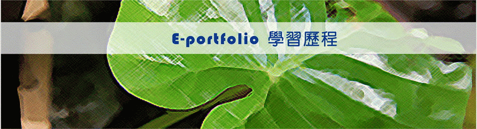 E-Portfolio學習歷程2